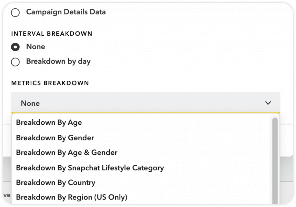 Snapchat Campaign Details Data